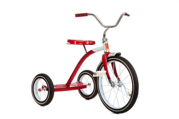Tricycle Assembly in Modesto